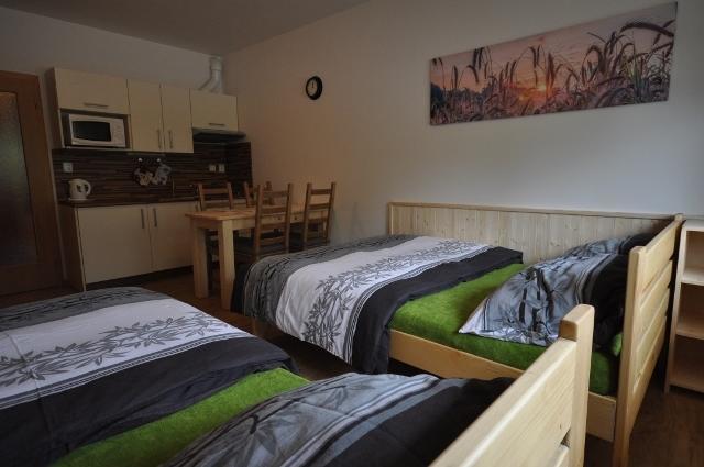 Studio Apartments Lipno 22, 24 Lipno nad Vltavou Quarto foto